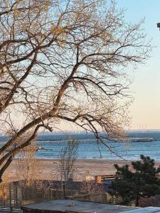 Sunshine Apartments Mamaia