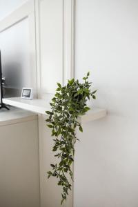 Q Apartament near Palas Mall