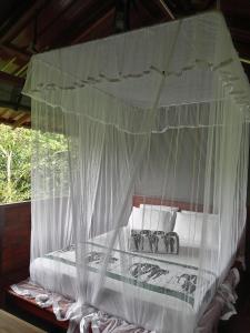 Dambulla Tree House