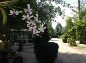 River Park Resort