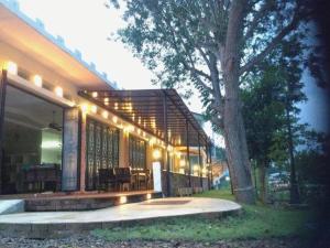 Dandelion Resort