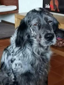 Chalet di campagna - da Aurora img37