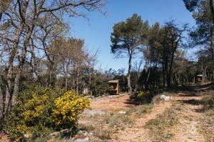 Campings Camping Liberte Verdon : photos des chambres