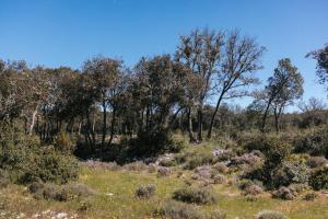 Campings Camping Liberte Verdon : photos des chambres