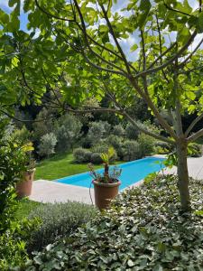 Villas La perle - villa de luxe : photos des chambres