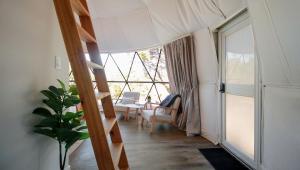 Unforgettable Glamping Adventure in a Big Geodome in Wimberley, TX