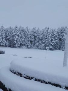 Kaludjerovic - Ubytování bez kategorie ve městě Cetinje