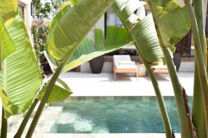 Maisons d'hotes Maison BAO : photos des chambres