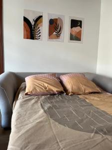 Appartements Hebergement Langogne : photos des chambres