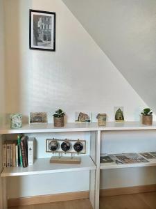 Appartements Sejour pro ou detente – Appartement lumineux proche centre de Troyes, wifi haut debit, cuisine equipee : photos des chambres