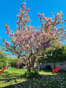 B&B / Chambres d'hotes La Maison Bizienne Guerande - Chambres d'hotes de charme : photos des chambres