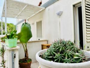 La Casa di Chiara by Professione Vacanze Otranto