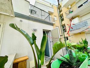 Appartement 1 Chambre
