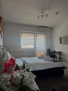 Quadruple Room room in Kengur Resort