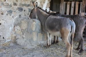 Agriturismo La Casa di Bacco