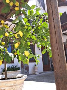 La-Casetta-in-Canada-Agerola-Amalfi-Coast