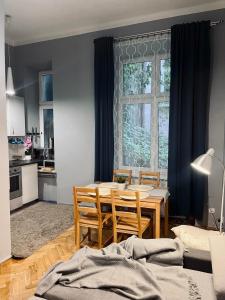 Wawel Castle! Central apartment