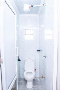 Sapphire Studio