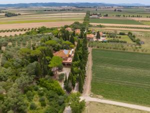 Villa I Tigli - Pervinca