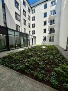 Old Town Libra Apartment