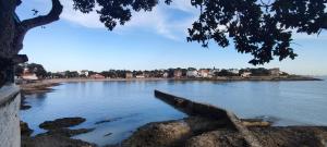 Appartements Appartement tout confort dans residence avec piscine : Appartement - Vue sur Piscine 