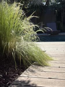 Villas Villa des 4 vents : photos des chambres