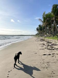 Baia Nest TURINGAN Loft, Self-Service Breakfast, Near the Beach, Pet Friendly with a Fee