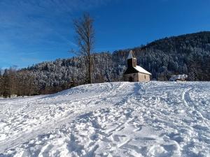 Maisons de vacances Maison cosy au coeur de la Vallee des Lacs Xonrupt : photos des chambres