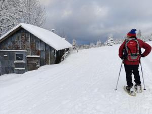 Maisons de vacances Maison cosy au coeur de la Vallee des Lacs Xonrupt : photos des chambres