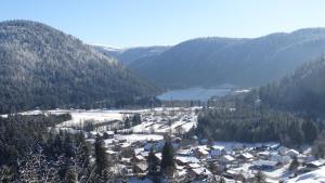 Maisons de vacances Maison cosy au coeur de la Vallee des Lacs Xonrupt : photos des chambres