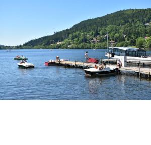 Maisons de vacances Maison cosy au coeur de la Vallee des Lacs Xonrupt : Maison 3 Chambres