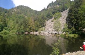 Maisons de vacances Maison cosy au coeur de la Vallee des Lacs Xonrupt : photos des chambres