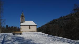 Maisons de vacances Maison cosy au coeur de la Vallee des Lacs Xonrupt : photos des chambres