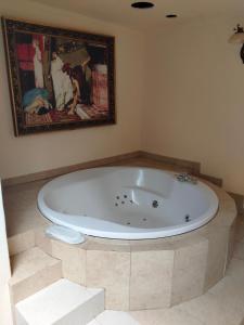 Hotel Venecia Palace