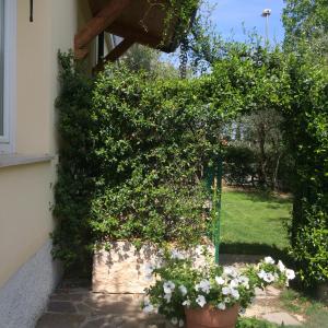 B&B Topaze
