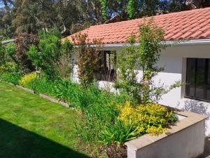 Maisons de vacances L'annexe des Cigales, a l'ombre des chenes lieges : Maison 1 Chambre