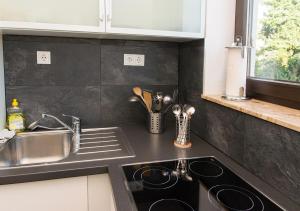 Ferienwohnung direkt am Rhein in Neuwied bei Koblenz