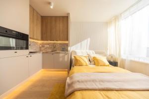 Studio Under Castle near Danube