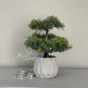 Square View Apartment