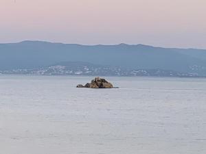 Coin de paradis aux Sanguinaires