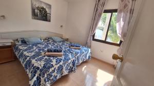 Central Corralejo with Terrace & Palm Trees 25mb wifi