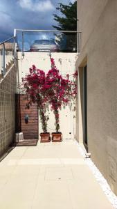 Pacific 2 Bedroom Villa Palase