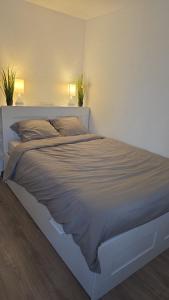 Appartements Joli Studio plein centre ville : photos des chambres