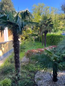 Appartamenti Miramare Portorose 