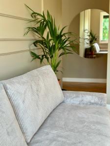 Opera Apartment - Widok 16