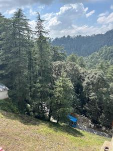 Kaisha Himalayan View