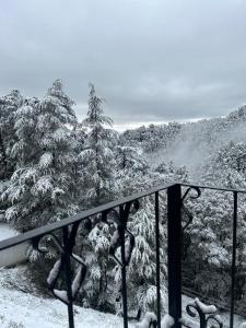 Kaisha Himalayan View