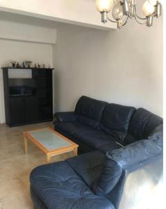 Grande maison de ville T7