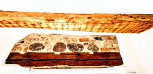 NEW Luxury Jacuzzi Suite - 100sqm Historic Center - 50m from Parking