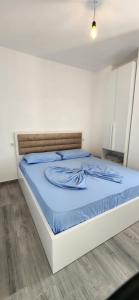 Summer Apartments in Shengjin